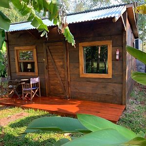 Los Bananos - Big Wood Cabin